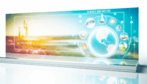 Fakta Menarik Tentang Otak Manusia Mempengaruhi Cara Kita Berpikir